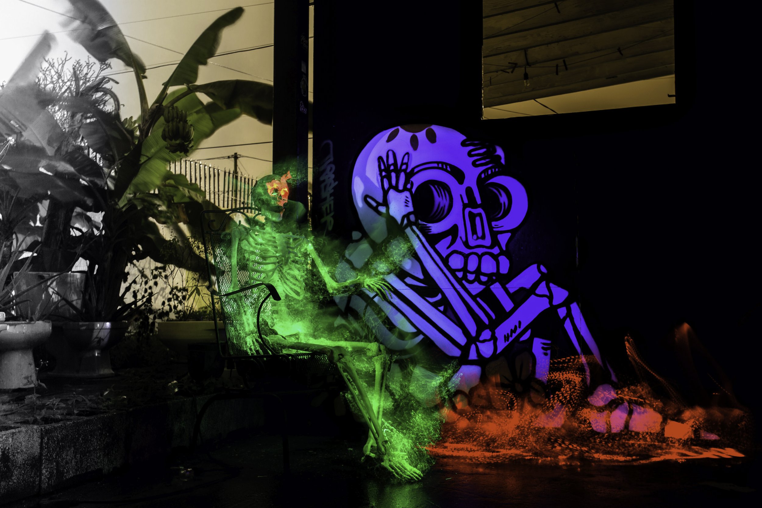 The Skeleton Interface