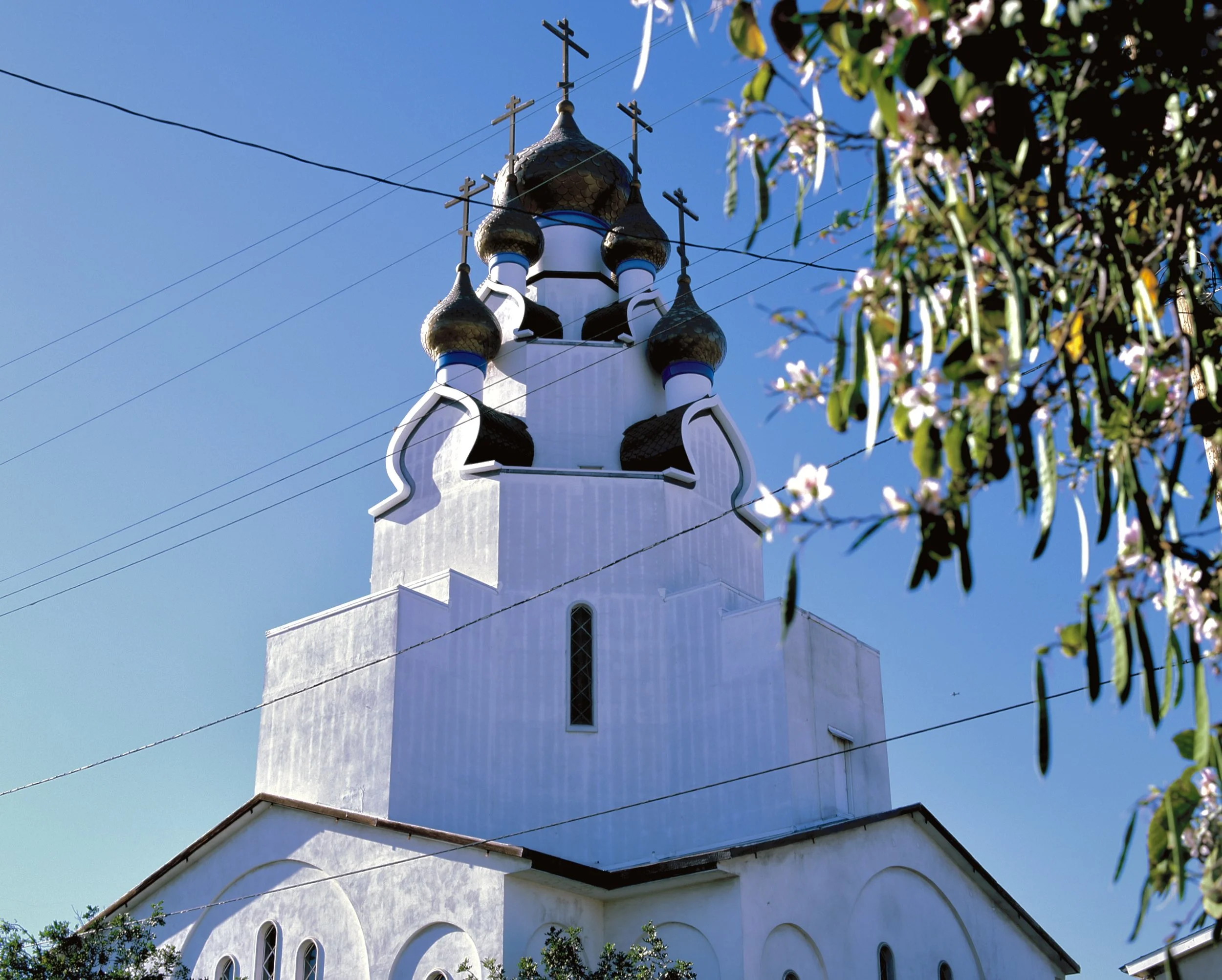 IMG_5946.jpg