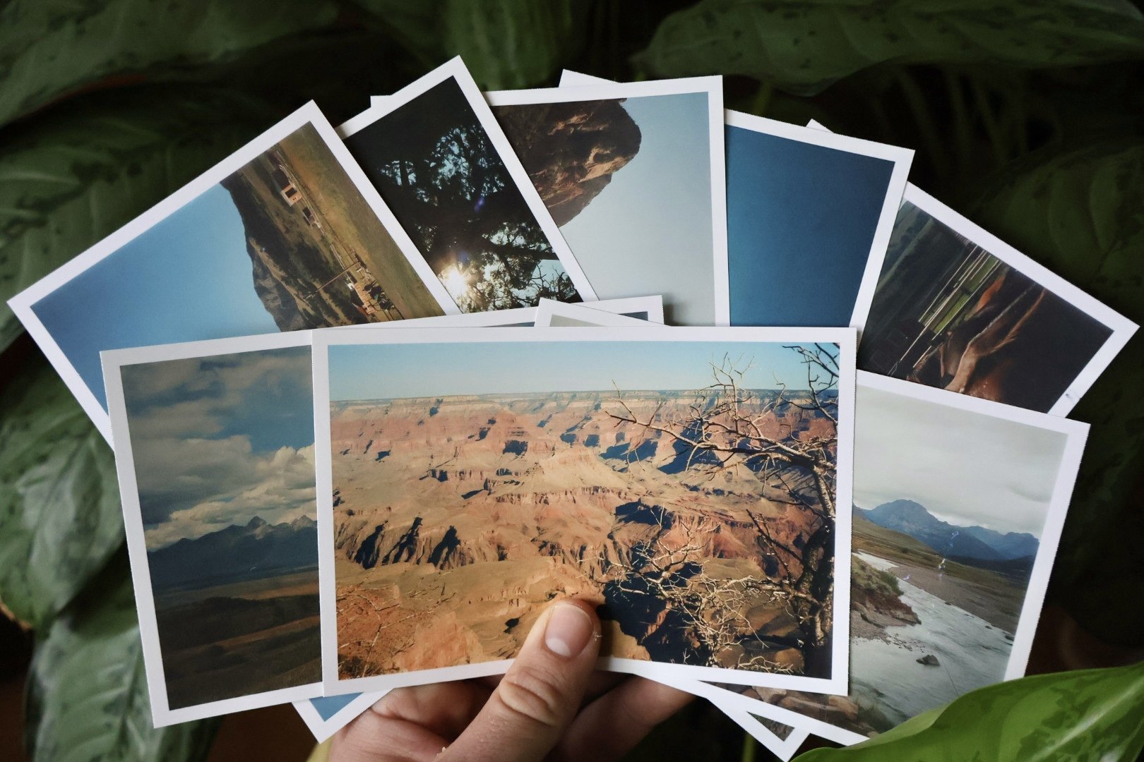 Out West 4x6 Bundle