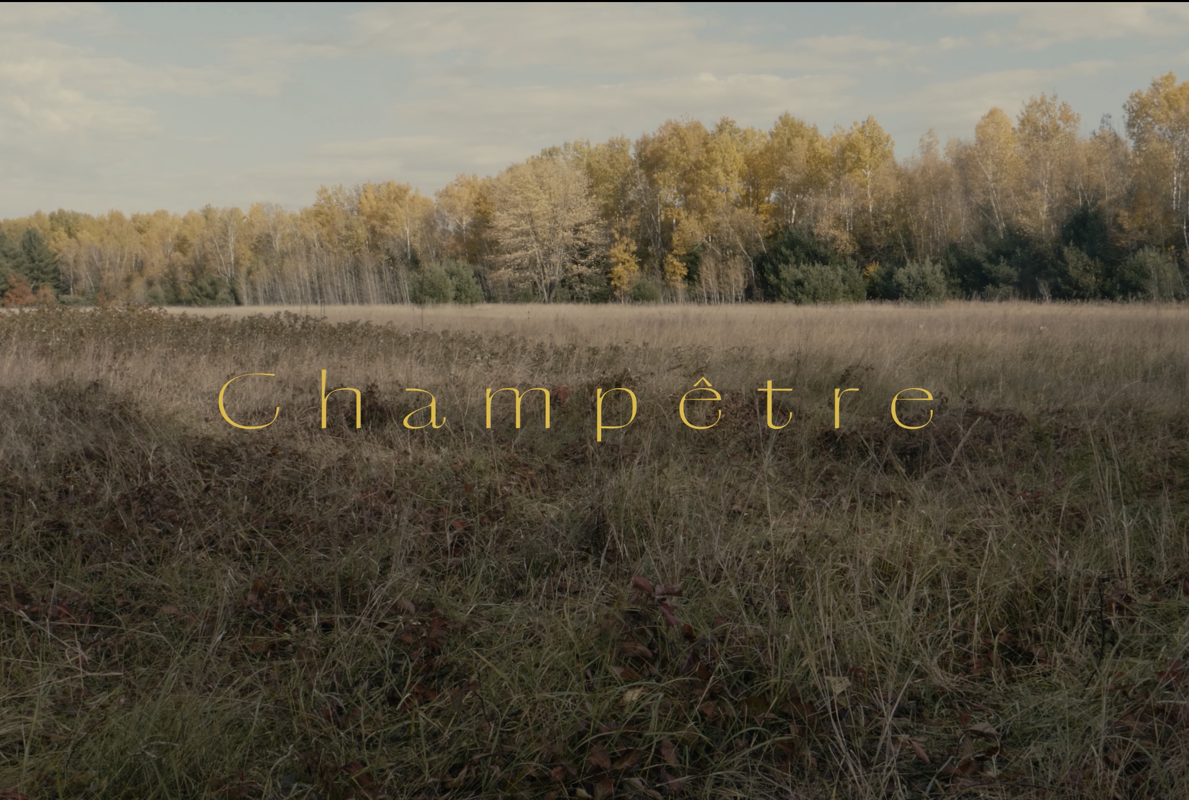 Capture d’écran, le 2025-04-01 à 17.05.56.png