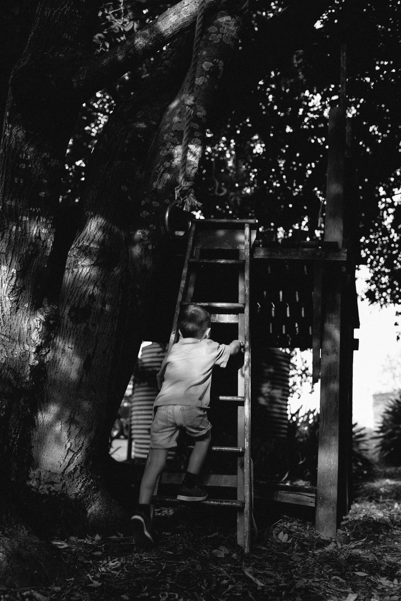 Photo 23-3-2025, 5 27 18 PM.jpg