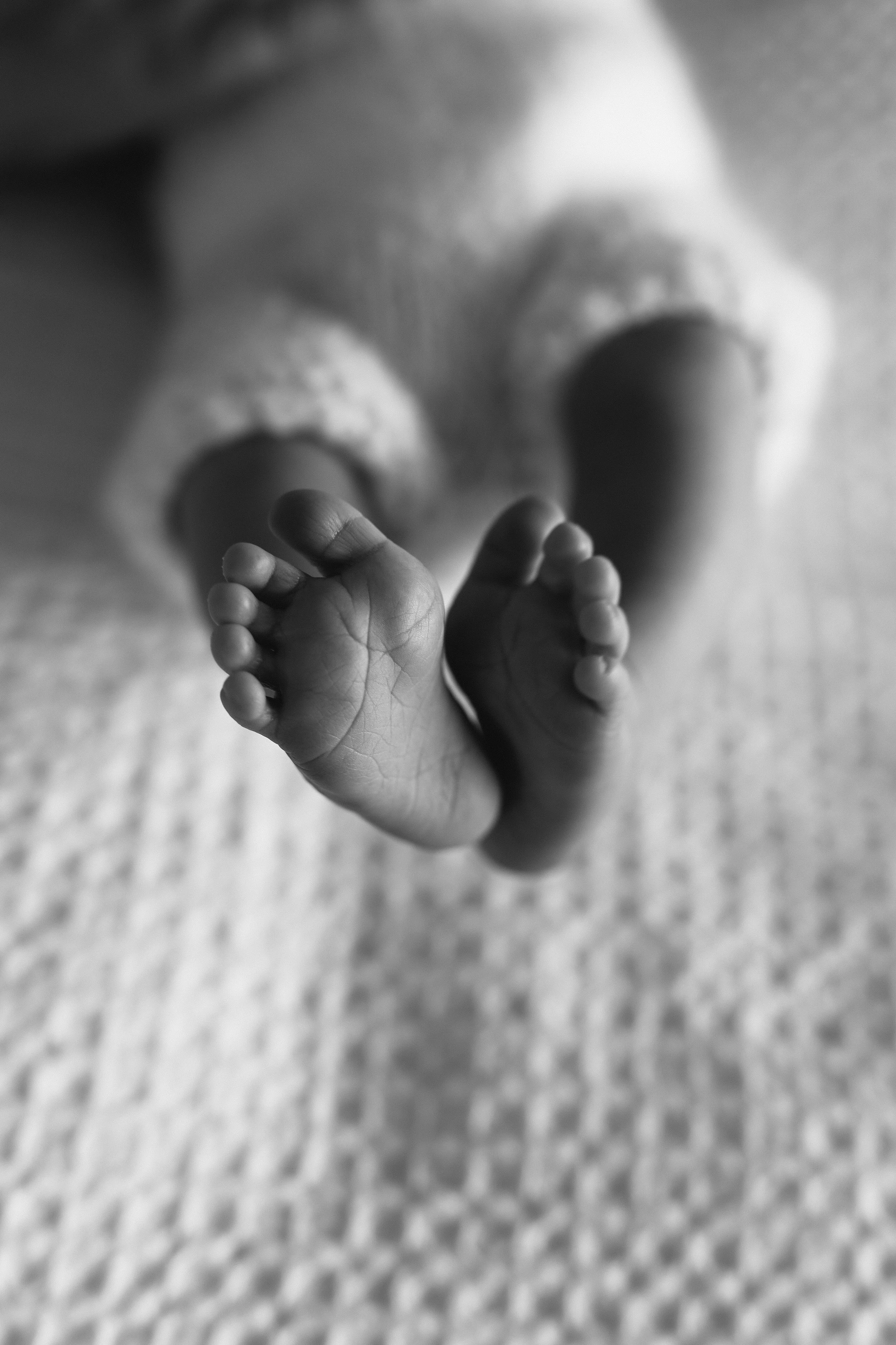 5W2A5383-2.jpg