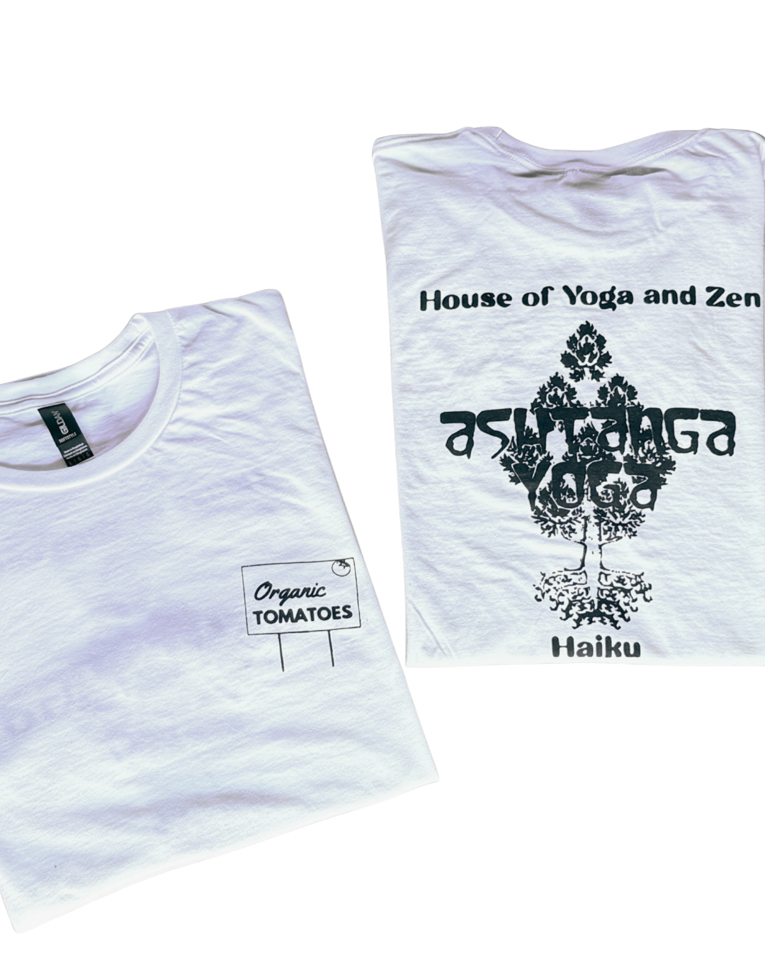 Untitled design 21.PNG