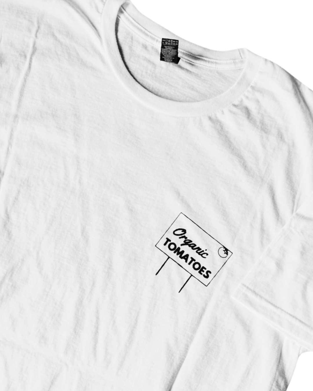 Untitled design 19.PNG