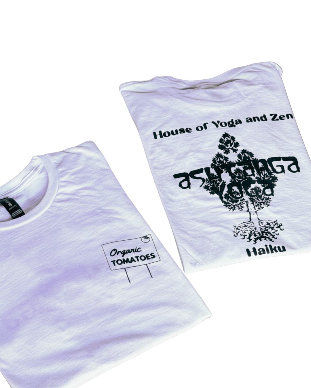 Untitled design 20.PNG