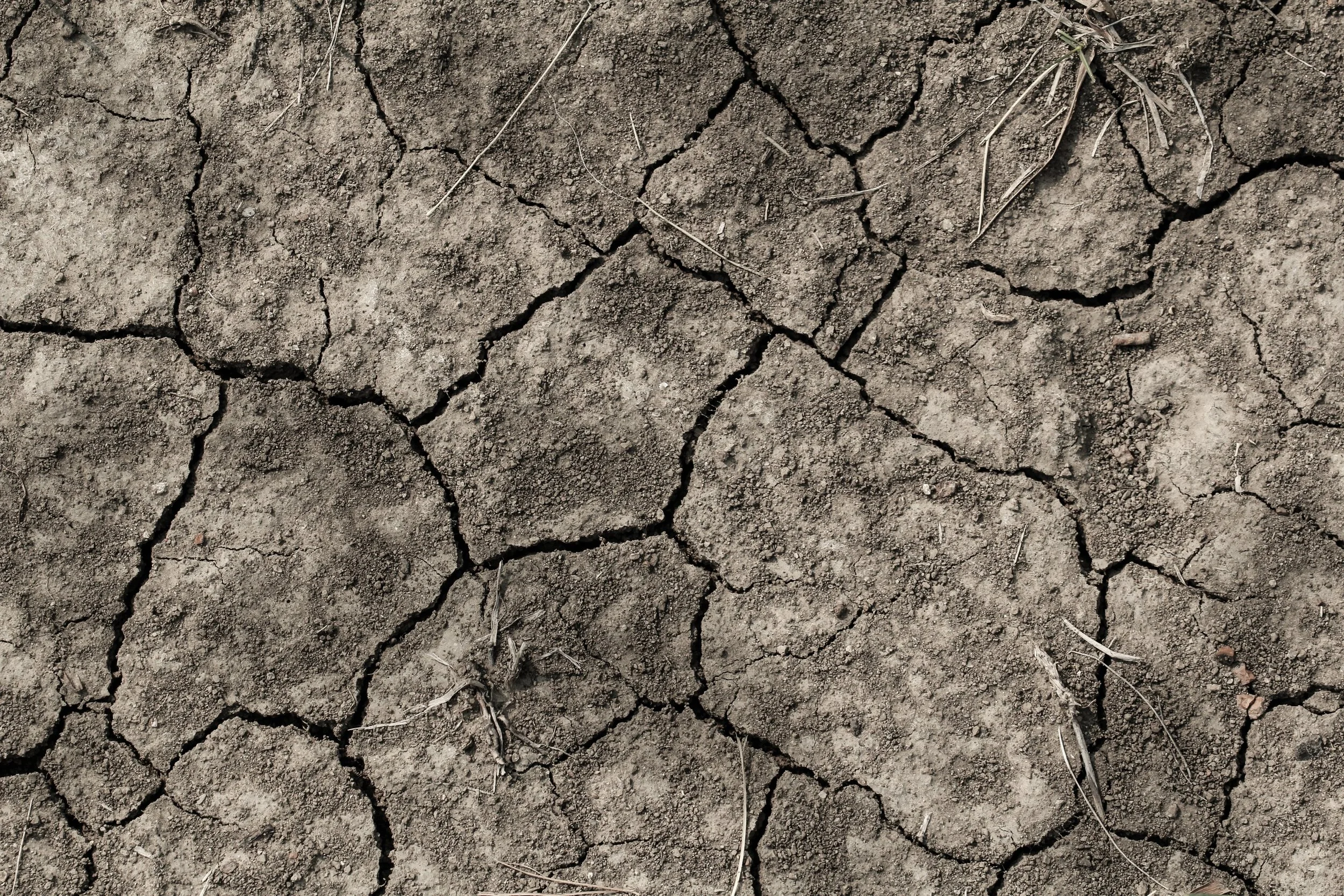 An image of a dry dehydrated earth