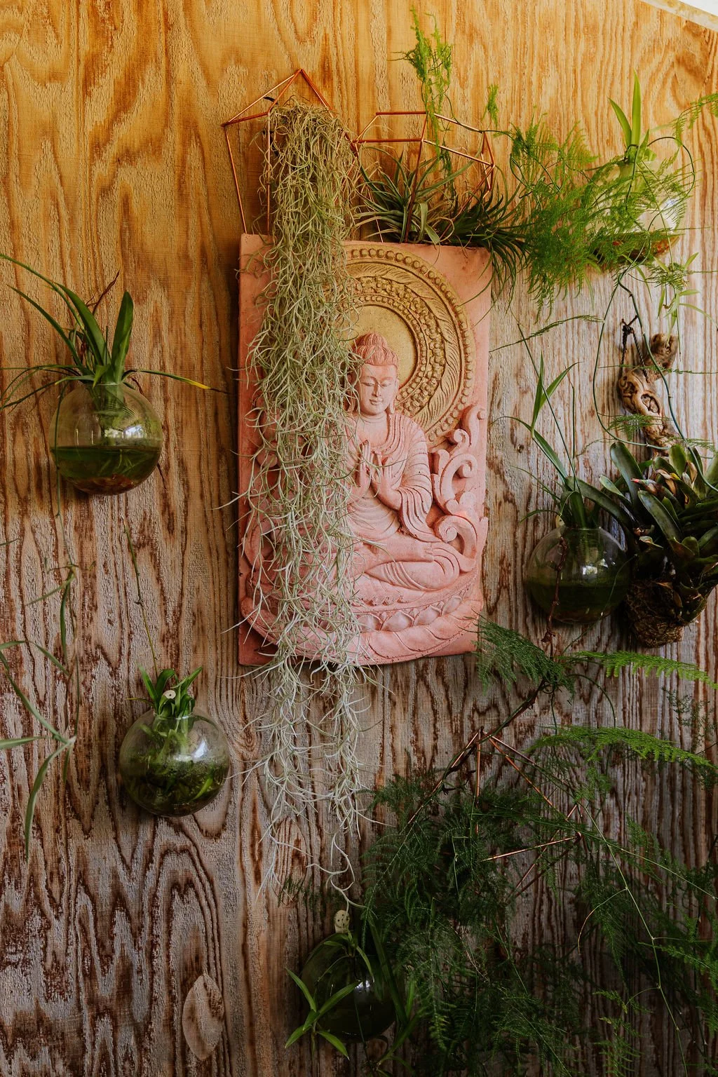 Decorative wall with a pink Buddha sculpture, surrounded by hanging plant arrangements in glass and copper planters, mounted on a textured wooden background.