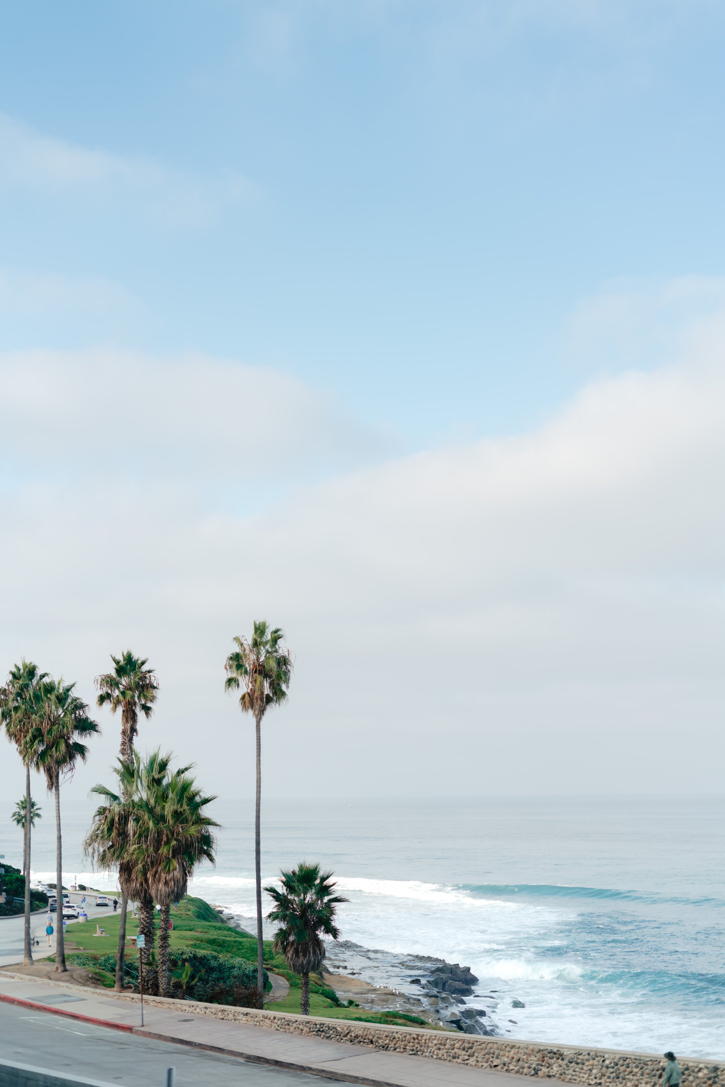 Beach scene with palm trees, ocean waves, and a cloudy sky.