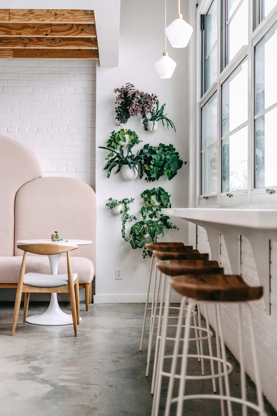 5 Of the Best Locations in Denver, Colorado for a Branding or Lifestyle Photoshoot