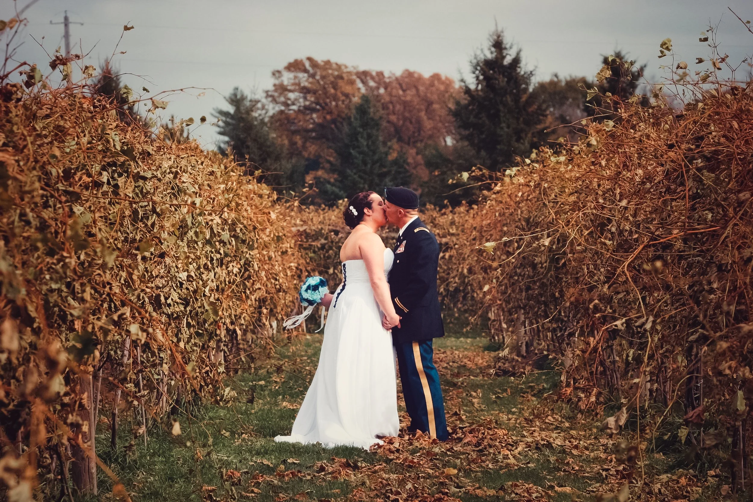 A bride and groom in wedding attire kissing in a vineyard with autumn leaves.