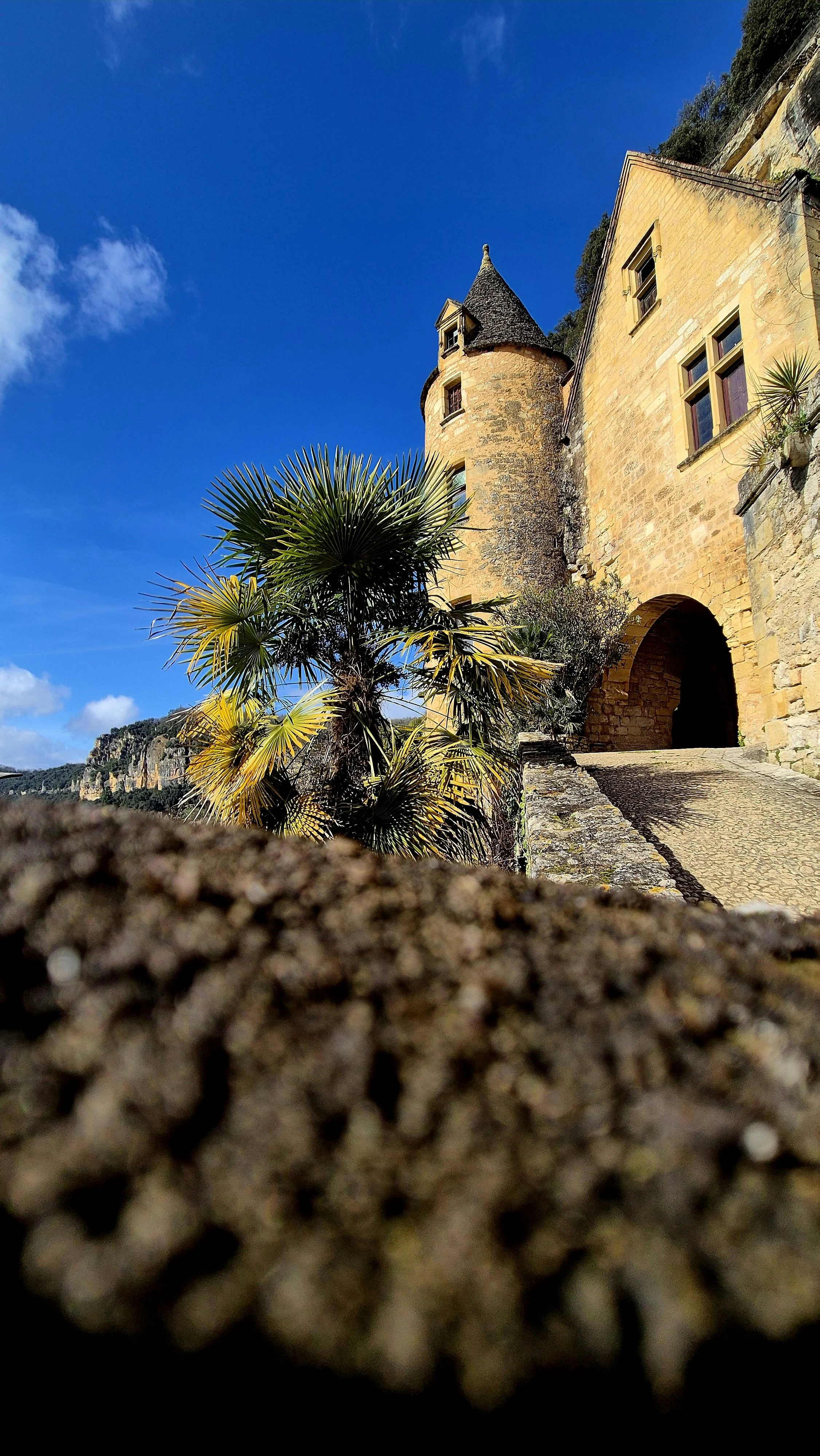 A castle with stone walls and a conical tower, surrounded by palm trees under a bright blue sky.