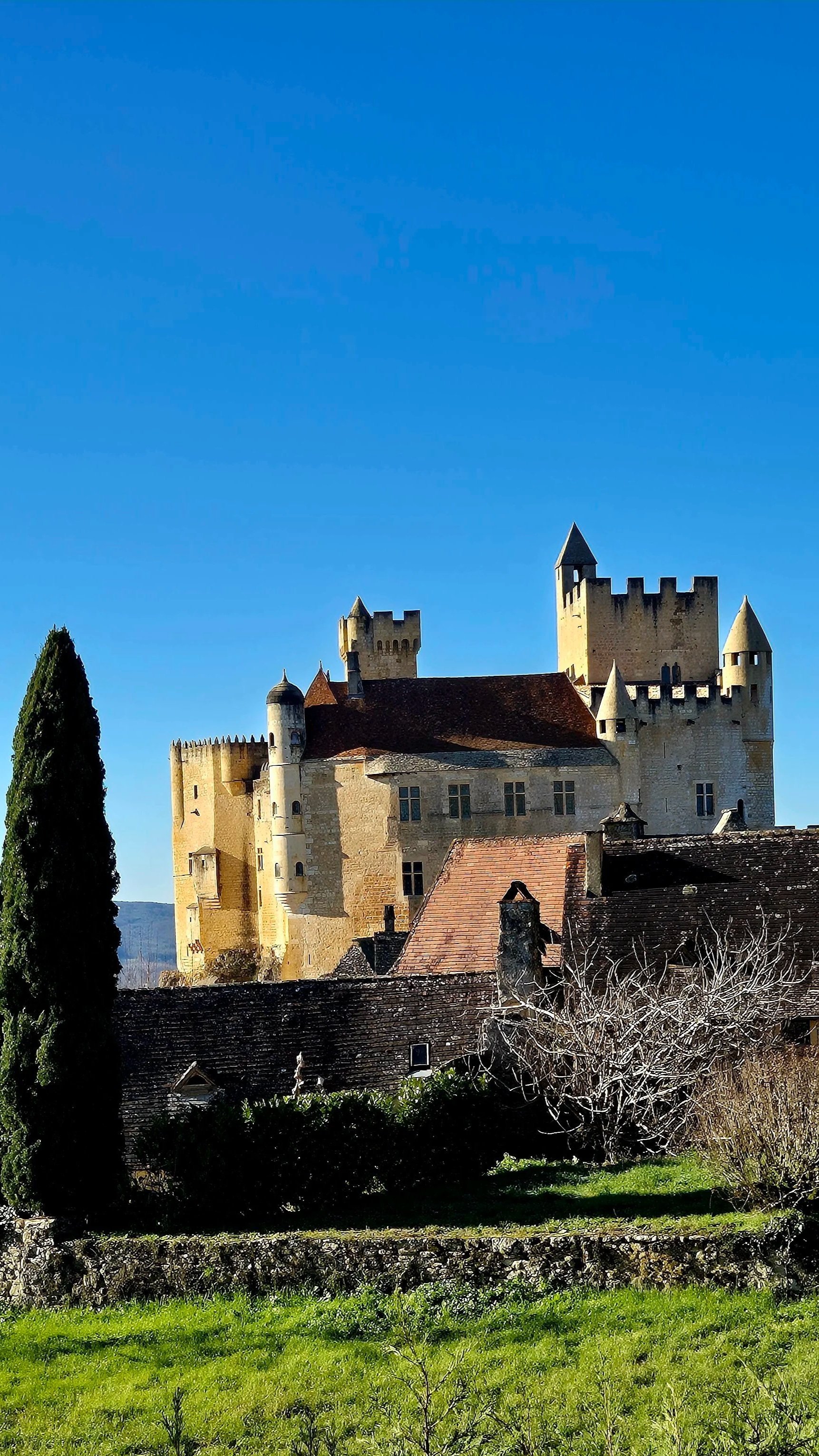 A large medieval castle with multiple towers, surrounded by trees and houses, under a clear blue sky.