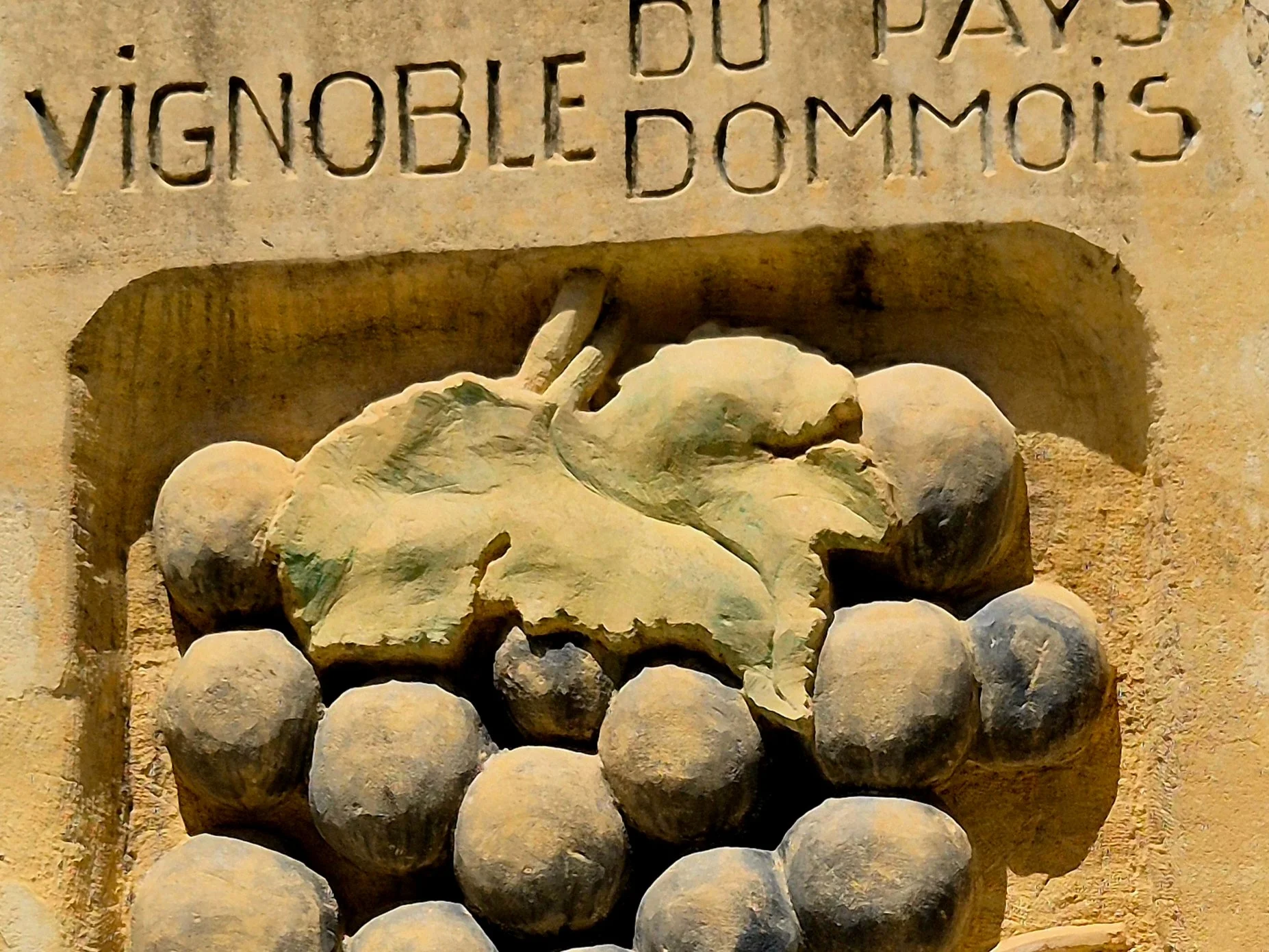 Picture of a vine which has been carved in to stone