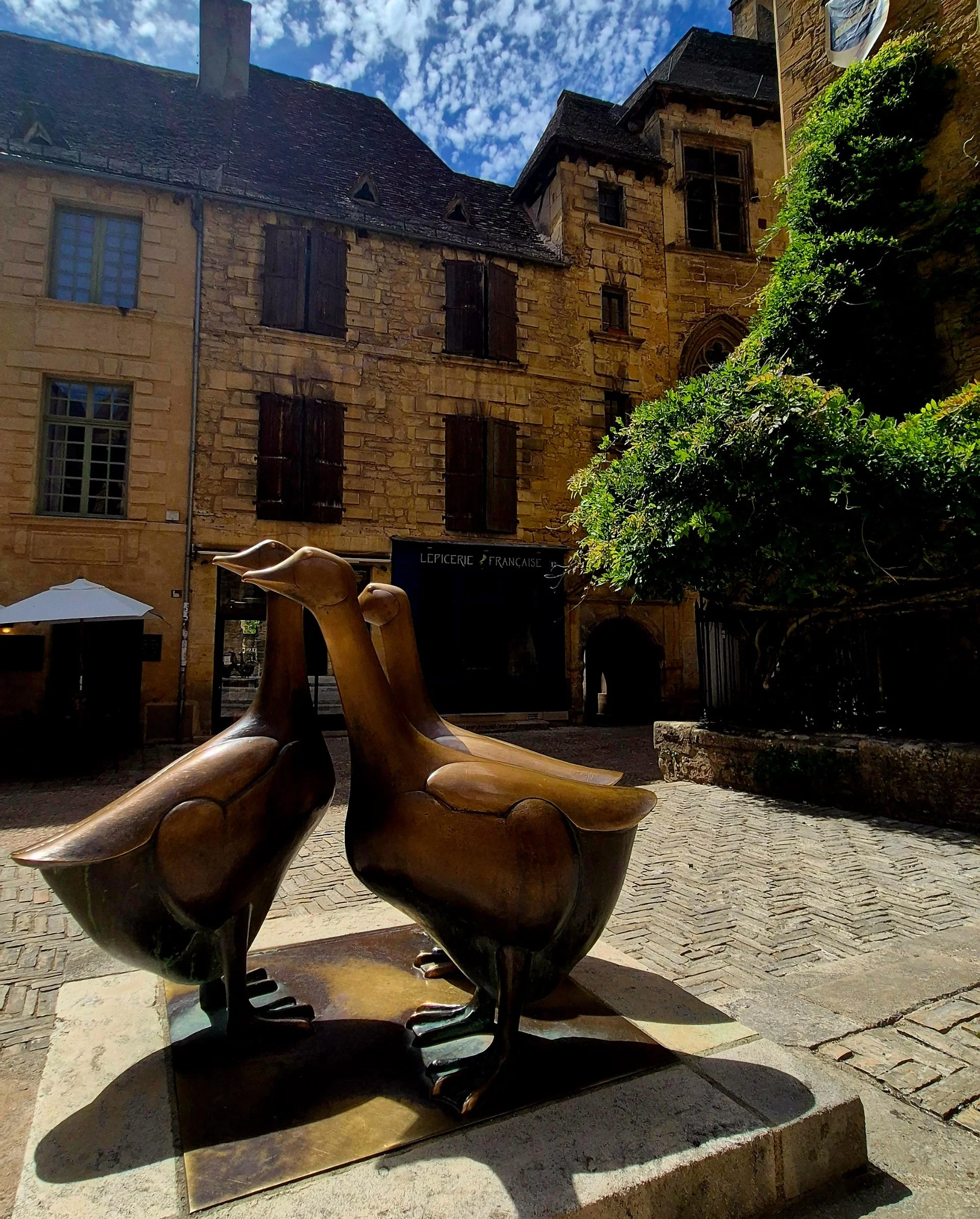 the golden-geese-in-sarlat
