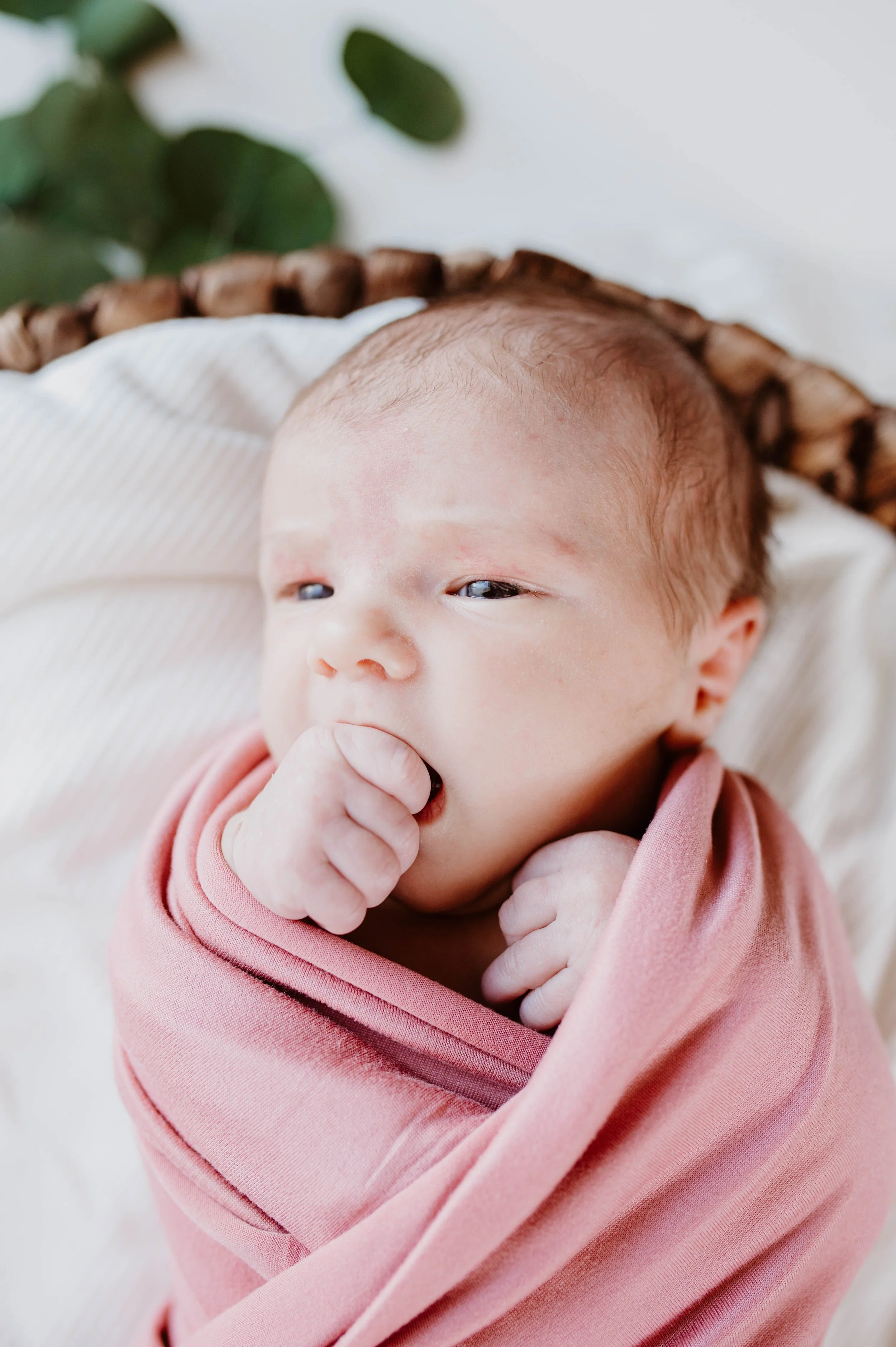 Anhorn Newborn-11.jpg