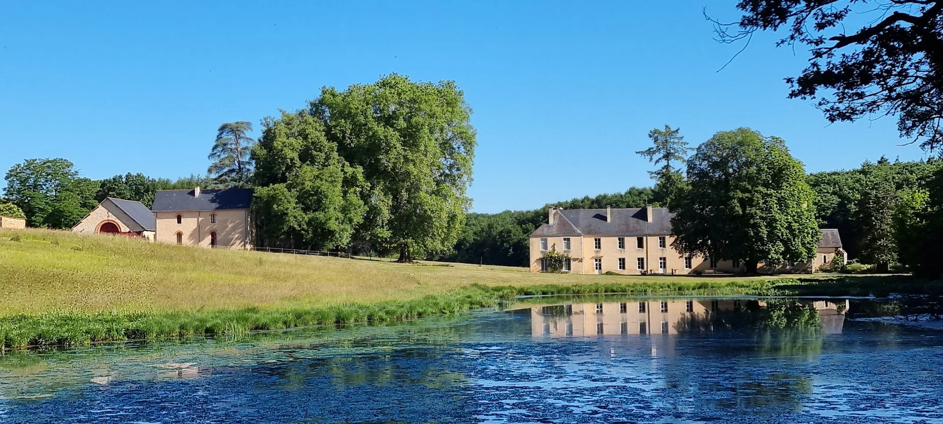 Our Bonneveaux Experience - By Linda Polaschek