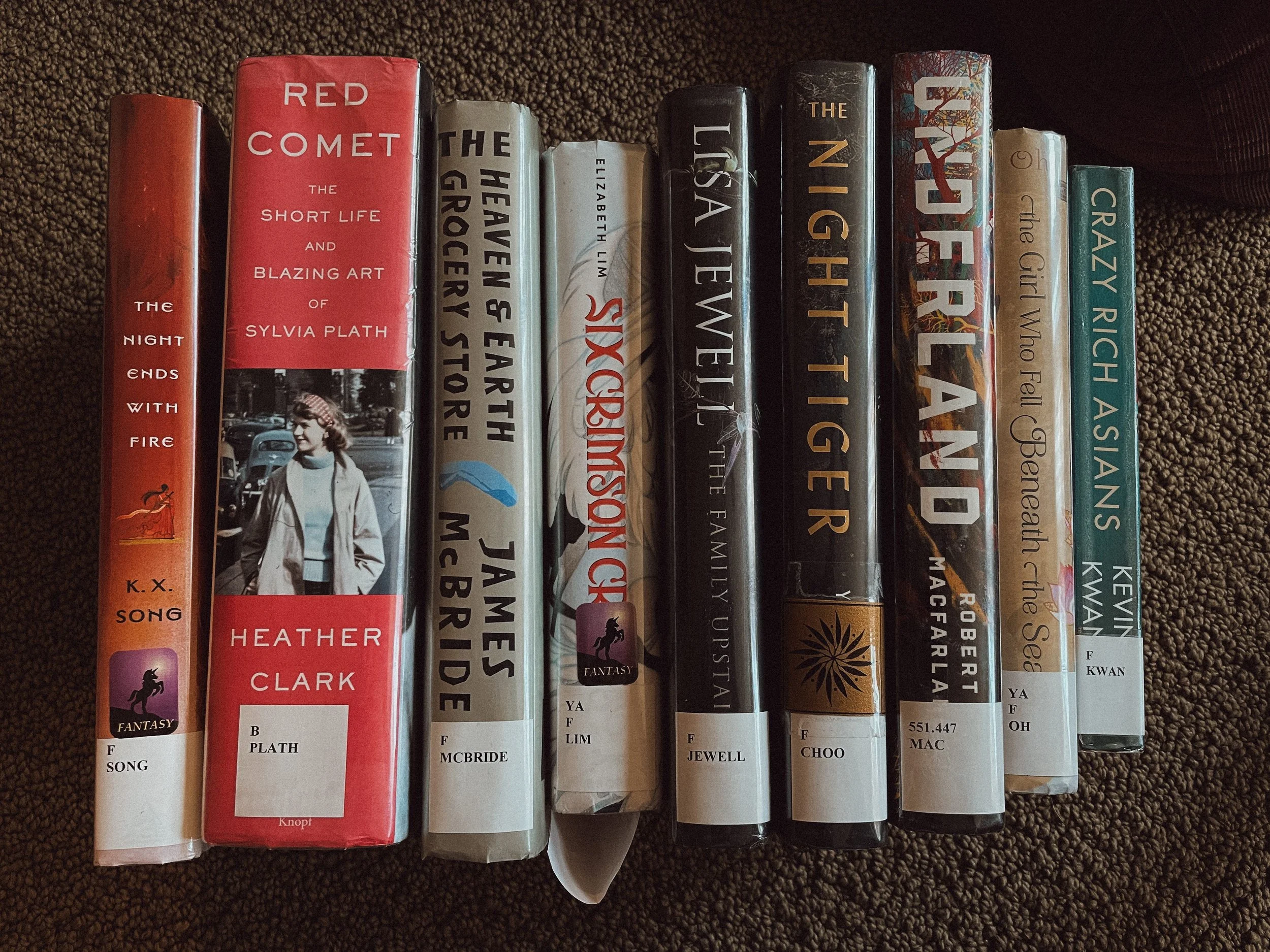 Went a little overboard at the library..again.