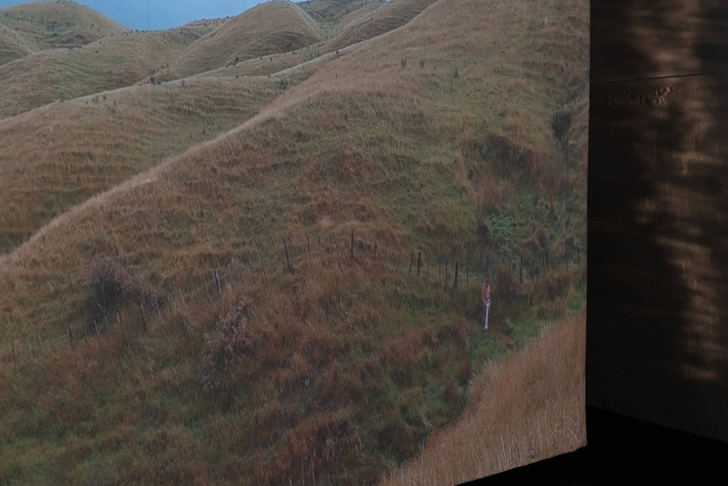 I Land_install_27.jpg