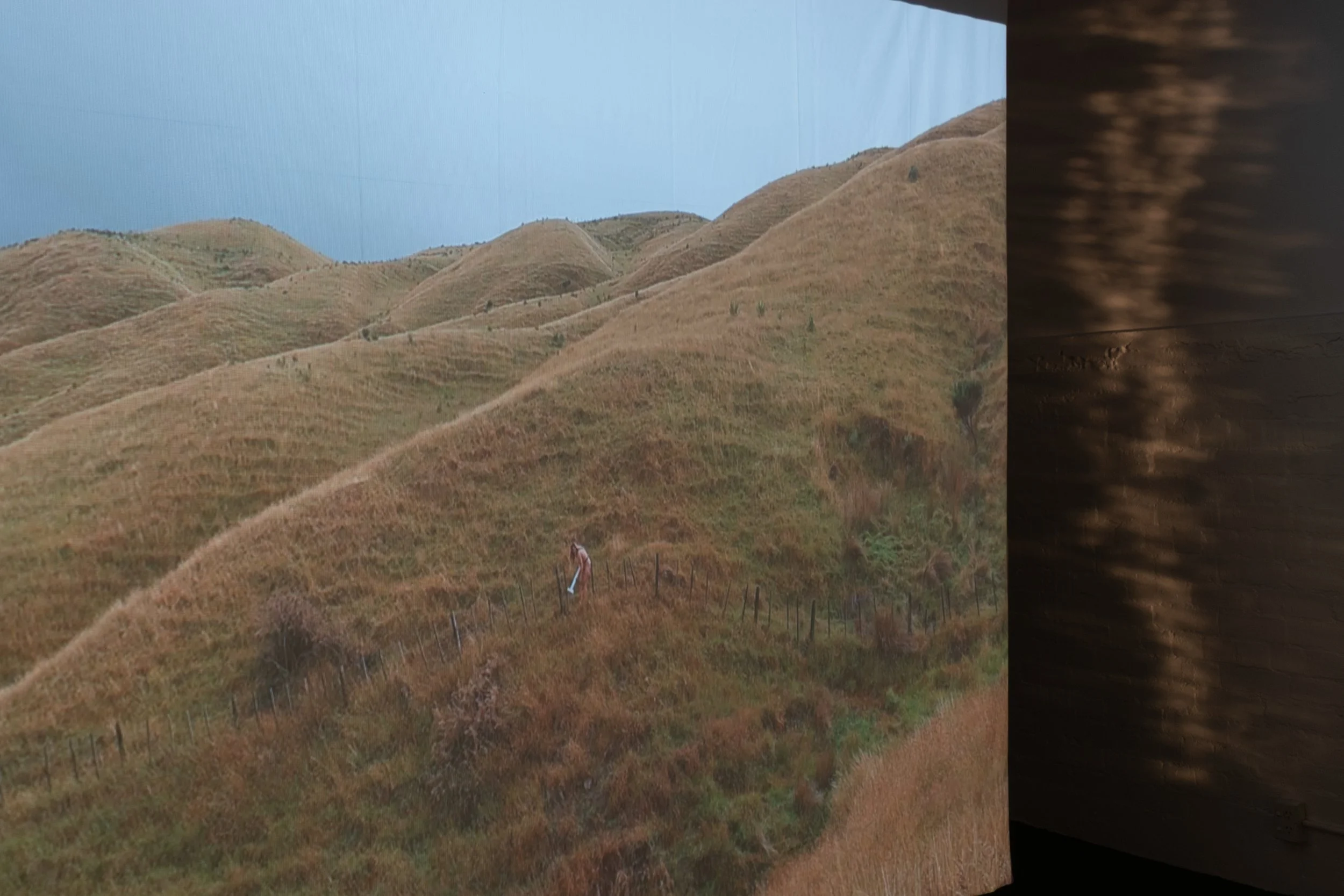 I Land_install_24.jpg