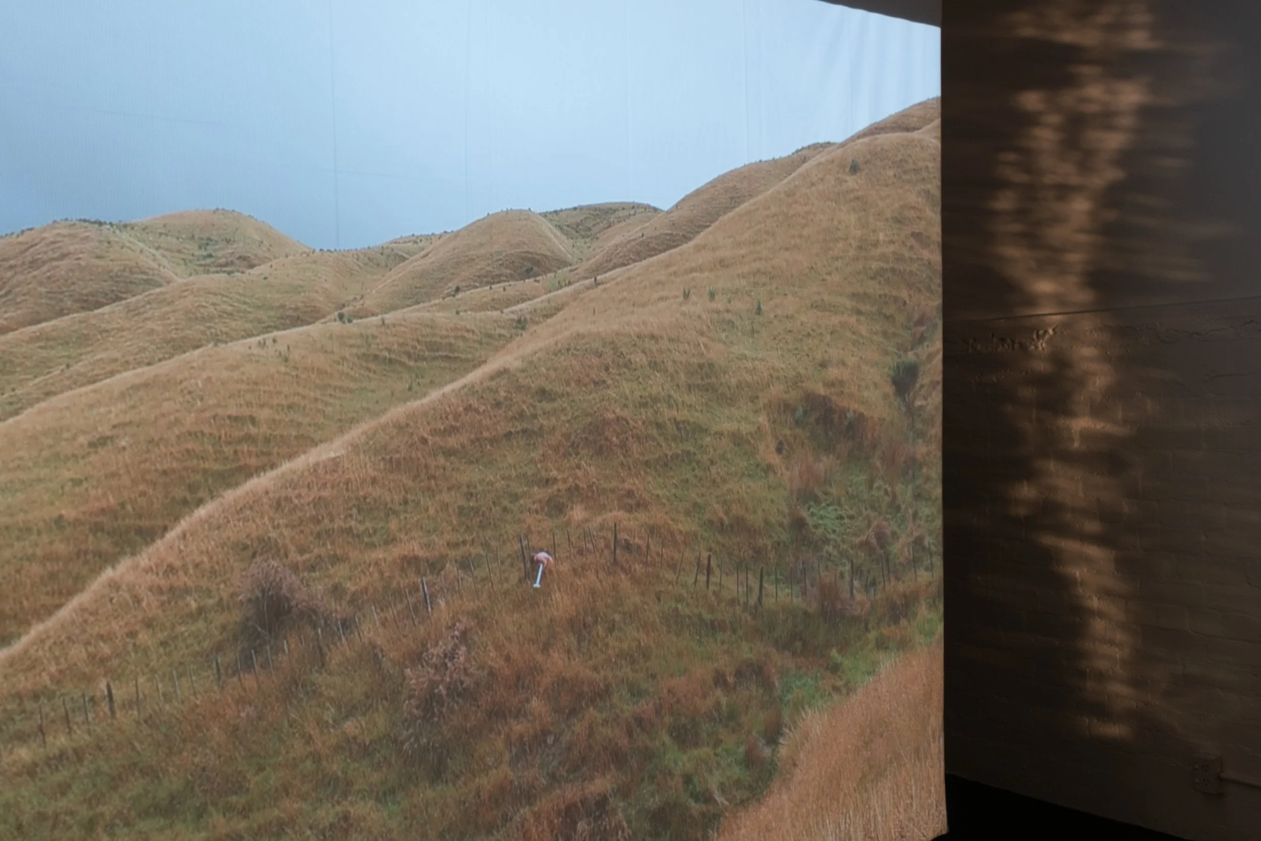 I Land_install_25.jpg