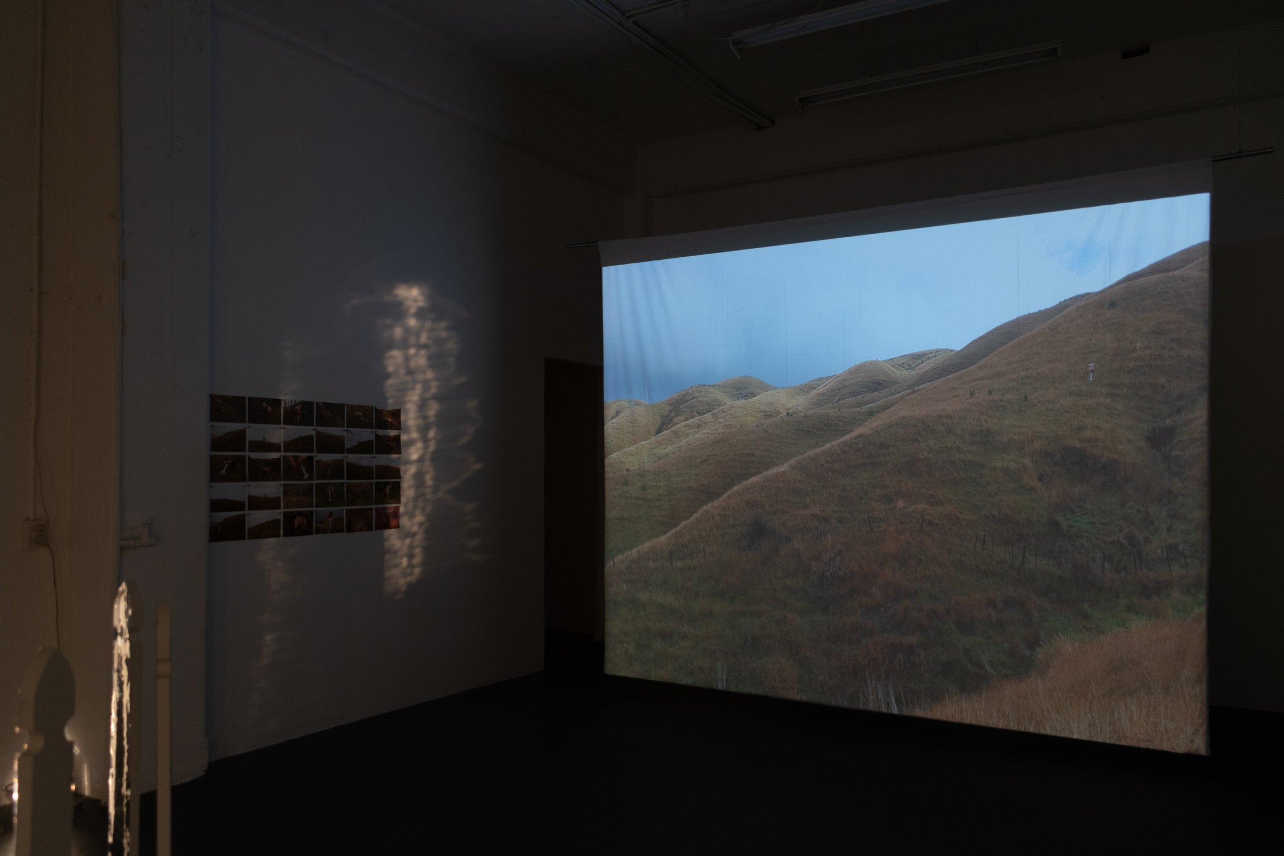 I Land_install_3.jpg