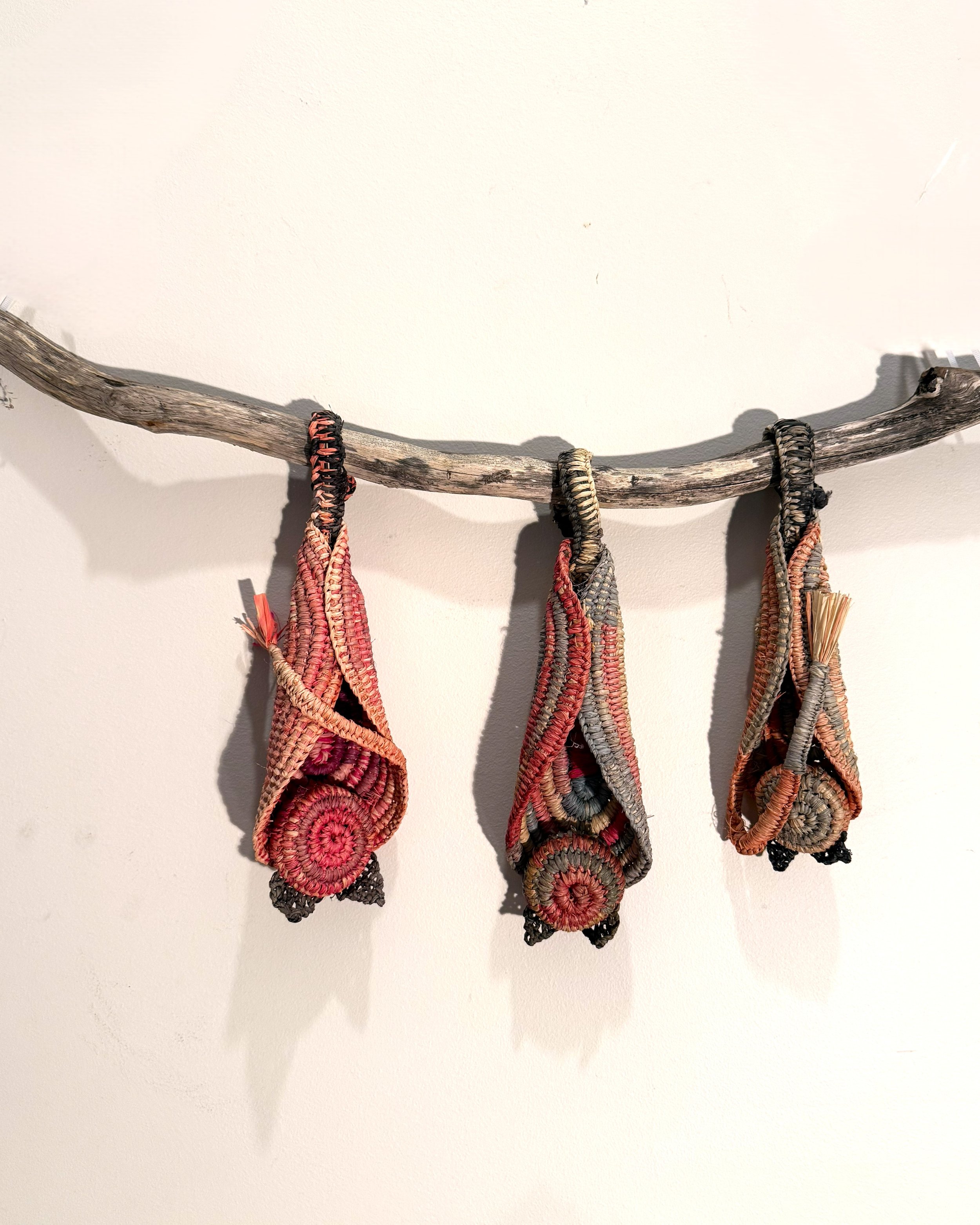 madjam between light_2025.jpeg