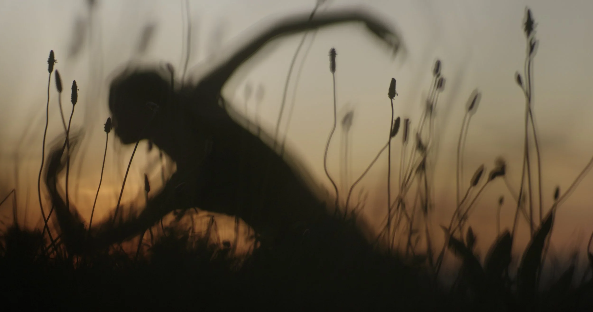 Sequence 01.00_20_03_14.Still007.jpg