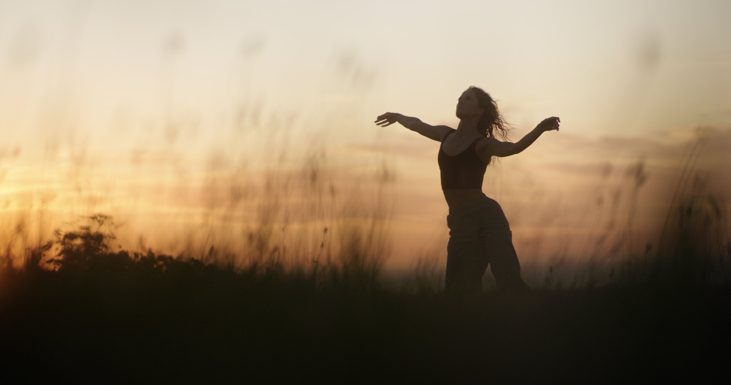 Sequence 01.00_15_52_02.Still001.jpg