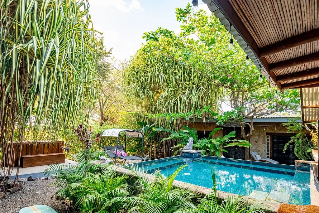 A backyard with a small swimming pool surrounded by lush green plants, trees, and tropical foliage. There is a swing with a canopy near the pool, and a stone statue on a pedestal is visible at the pool's edge. A wooden roof structure with string ligh