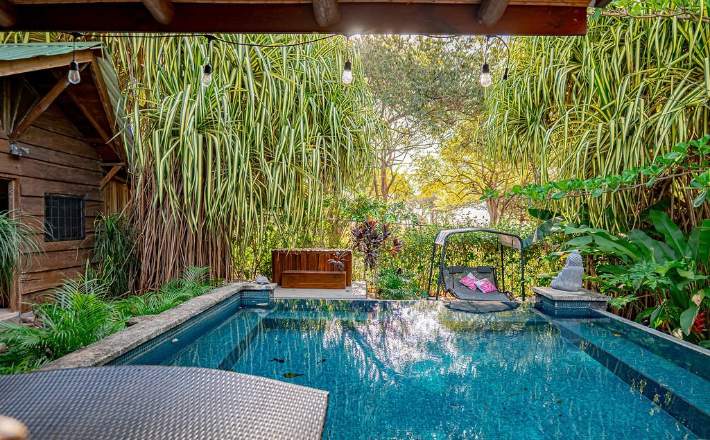 Outdoor pool surrounded by lush tropical plants and greenery, with a wooden shed and a swing with pink cushions in the background.