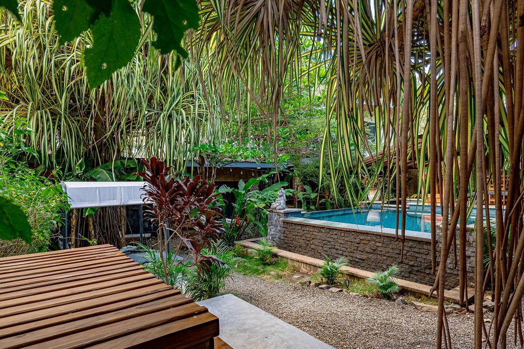 A lush backyard with dense green tropical plants surrounding a small pool with a stone finish. There is a wooden platform and gravel pathway in the foreground.