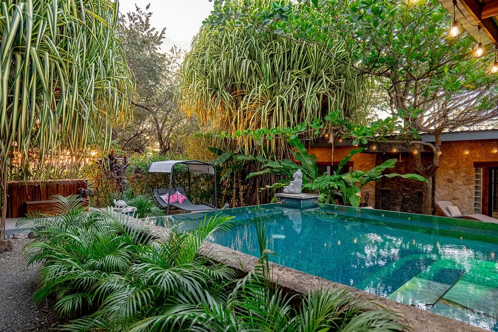 A lush backyard with a swimming pool, surrounded by tropical plants, trees, and string lights. There is a swing and a Buddha statue on a fountain by the pool.