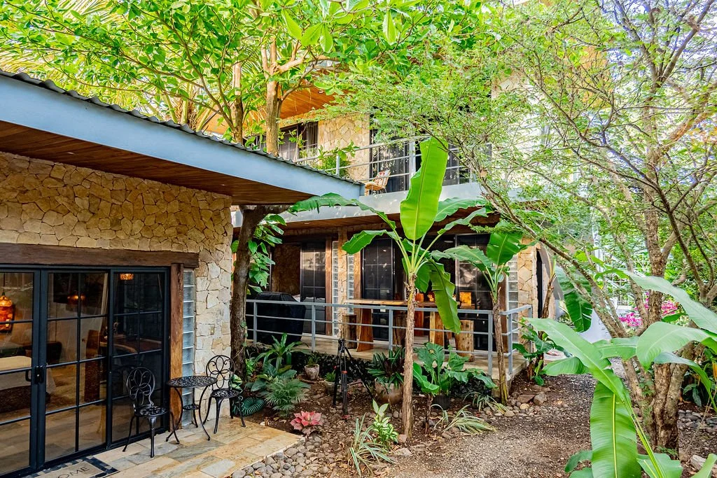 A colorful, lush garden patio area with large tropical plants, trees, and a mix of stone and wood elements in front of a house.
