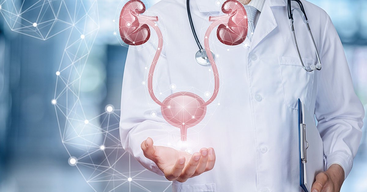 Quick Guide: Understanding UTIs