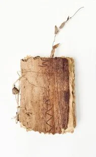 book of anture v2.jpg