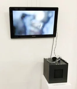 voices beyond sight.jpg