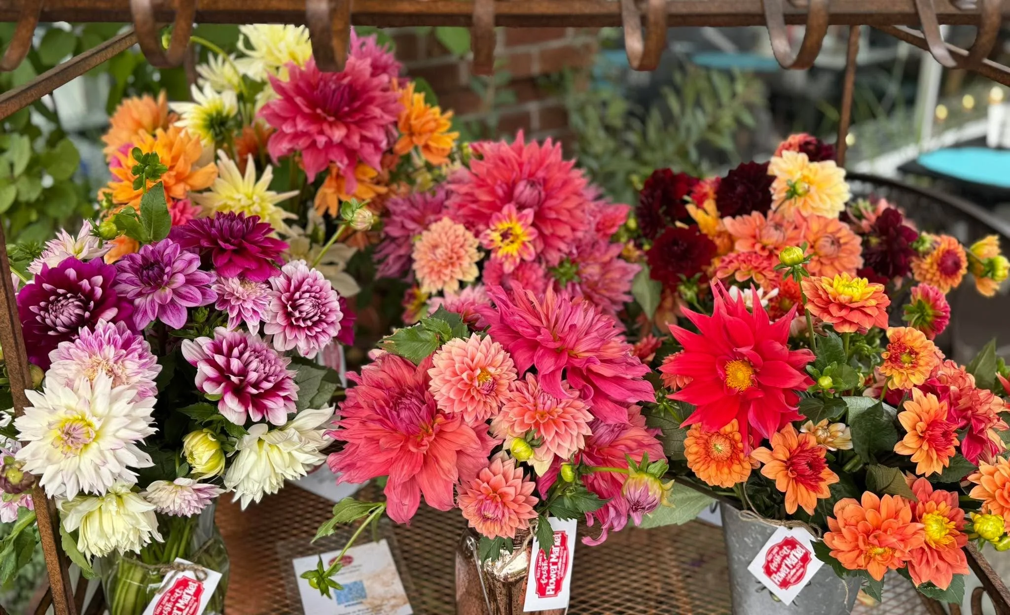 Amazing, fresh and organic dahlia bouquets loaded in this morning at my Lizzy Jane Flower Market at Shangri-La Farm. And at my flower cart in front of Natalia&rsquo;s Cafe in downtown Camas. I grow these. Fresh picked each morning. Affordable priced 
