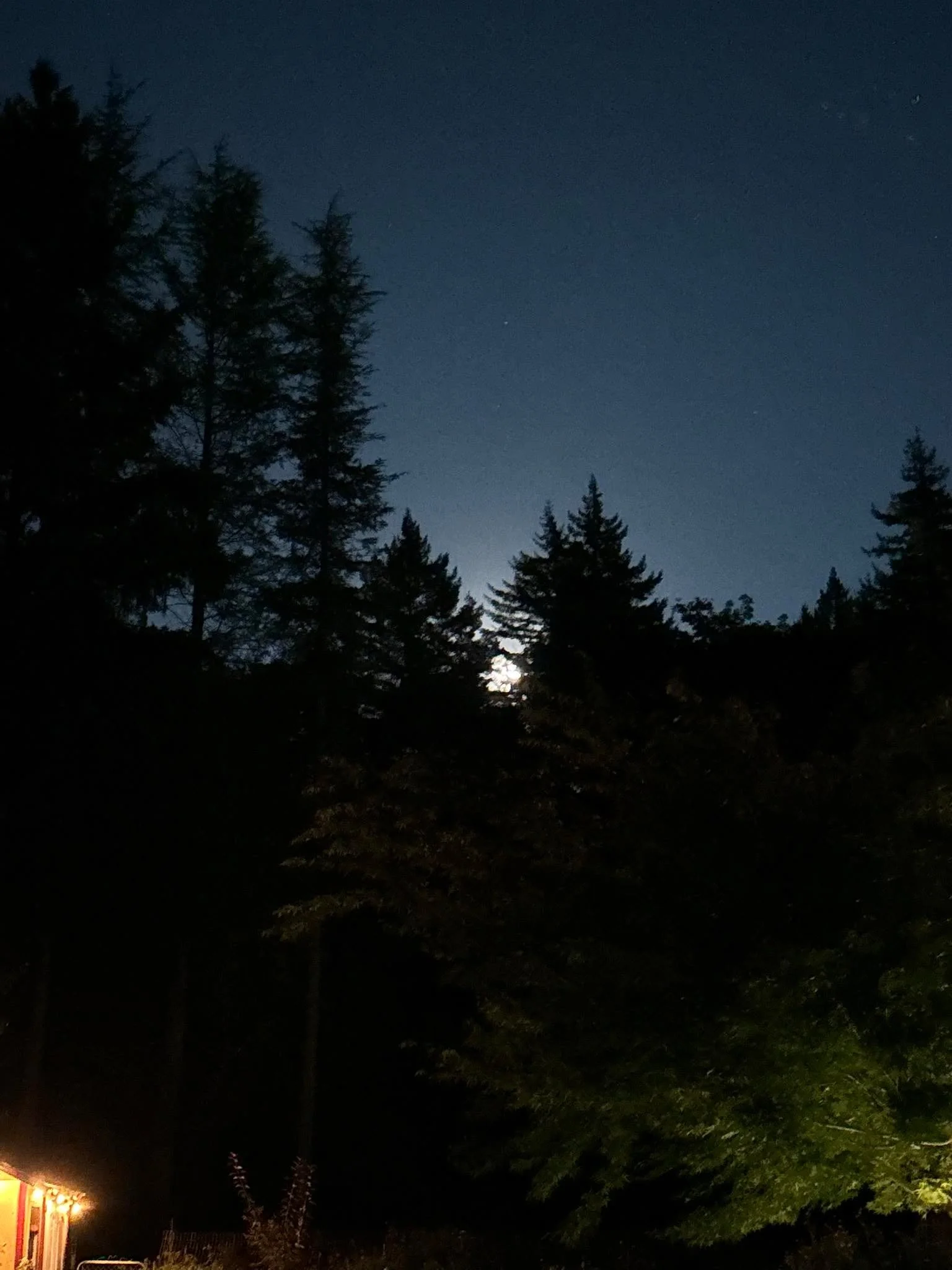 A giant harvest moon is about to rise over Shangri-La trees to the east. Check it out.