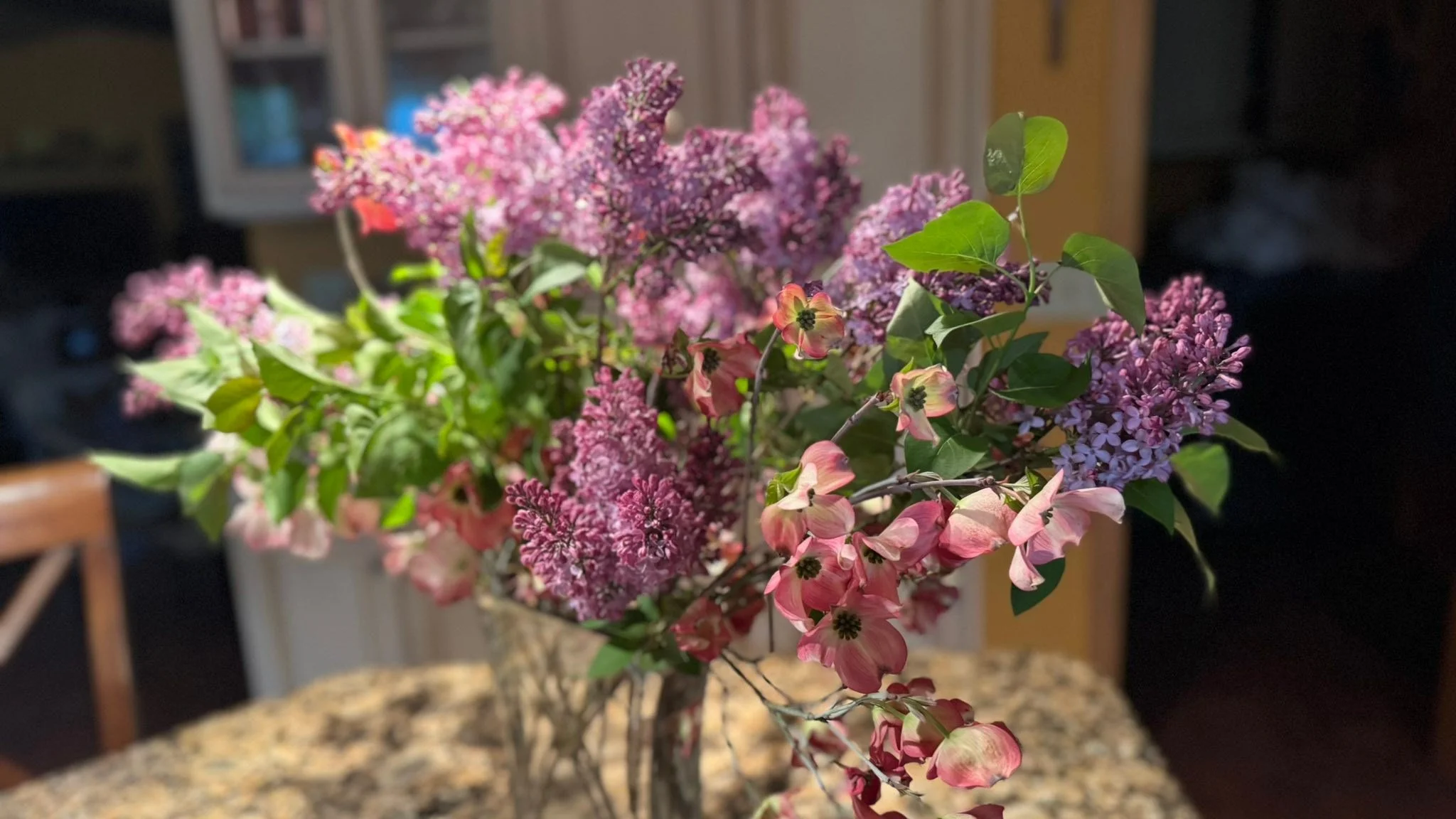 Even though it&rsquo;s Lilac season at Shangri-La Farm, it&rsquo;s also dahlia planting time. I have 800 dahlia tubers planted and have about 600 dahlia tubers for sale. These are guaranteed to grow. I&rsquo;ve hand selected each tuber - ensuring the