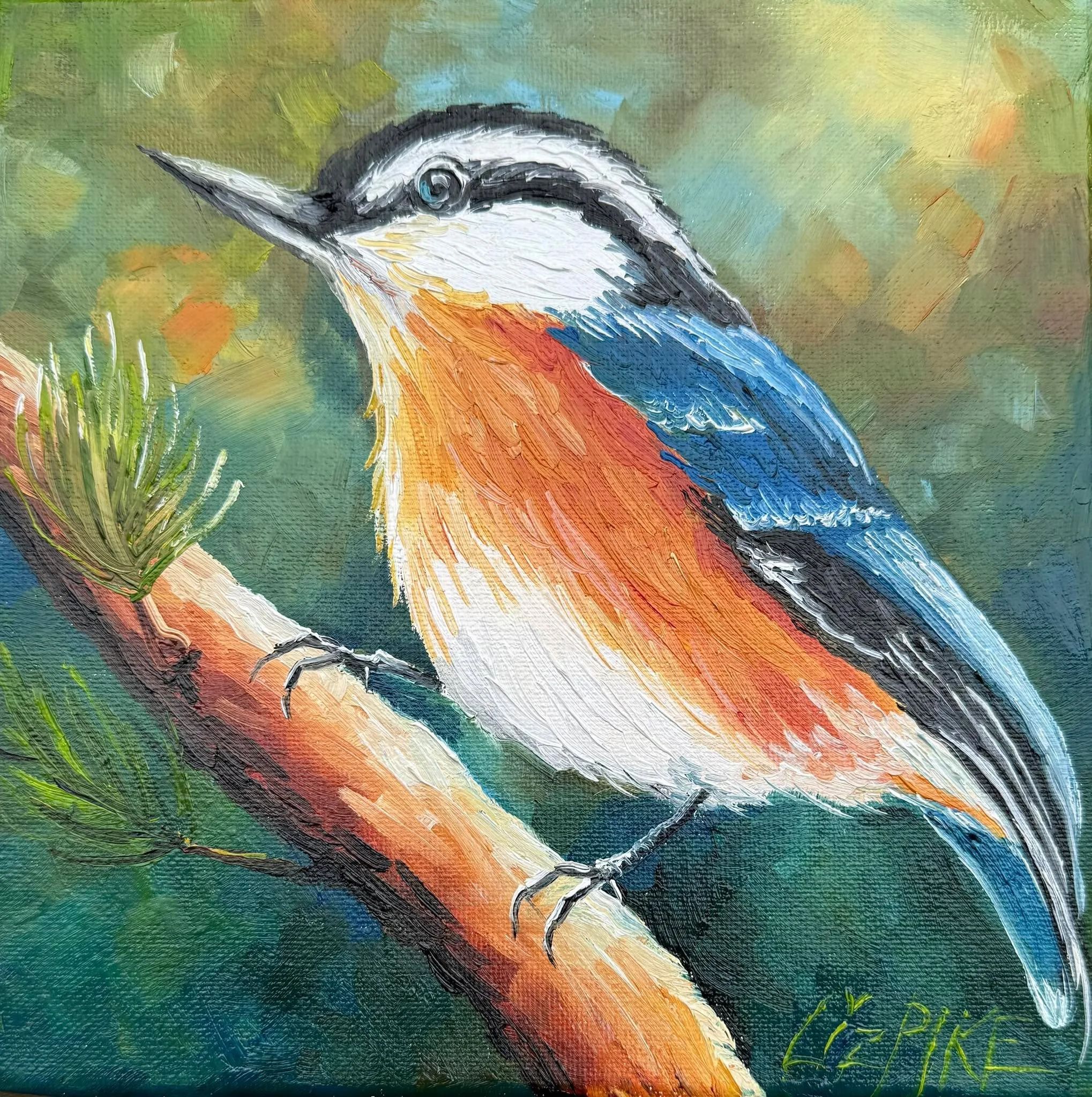 I have room for a couple more painters tonight, (Monday, April 20). We&rsquo;re painting this RedBreasted Nuthatch 6pm at RedDoor gallery. $60 All inclusive. Text me by 3pm today if you want to reserve a space or two. 8x8 oil on canvas
