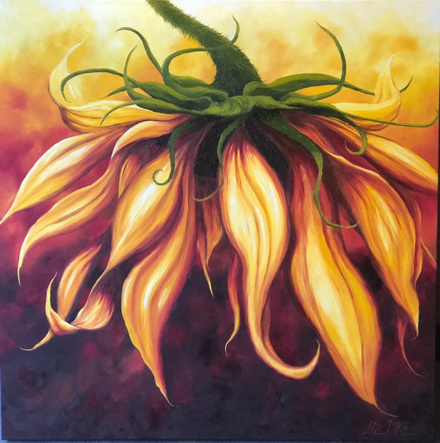 PIKE SUNFLOWER  |  LIZ PIKE