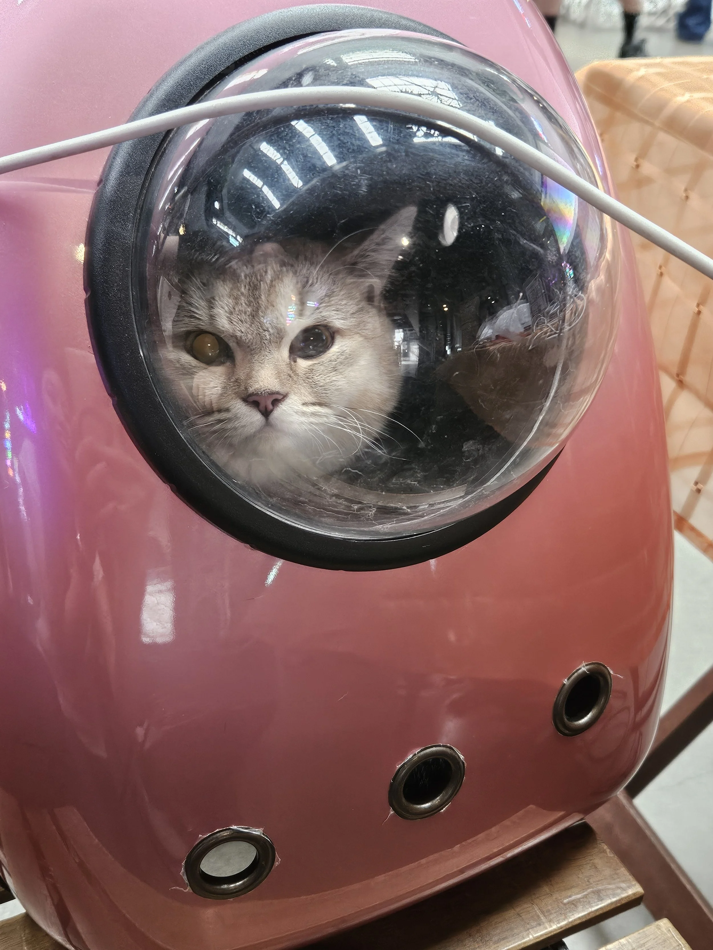 20250629_174229.jpg