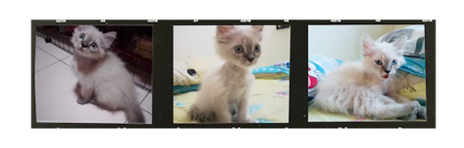 Baby Percy with skin infection