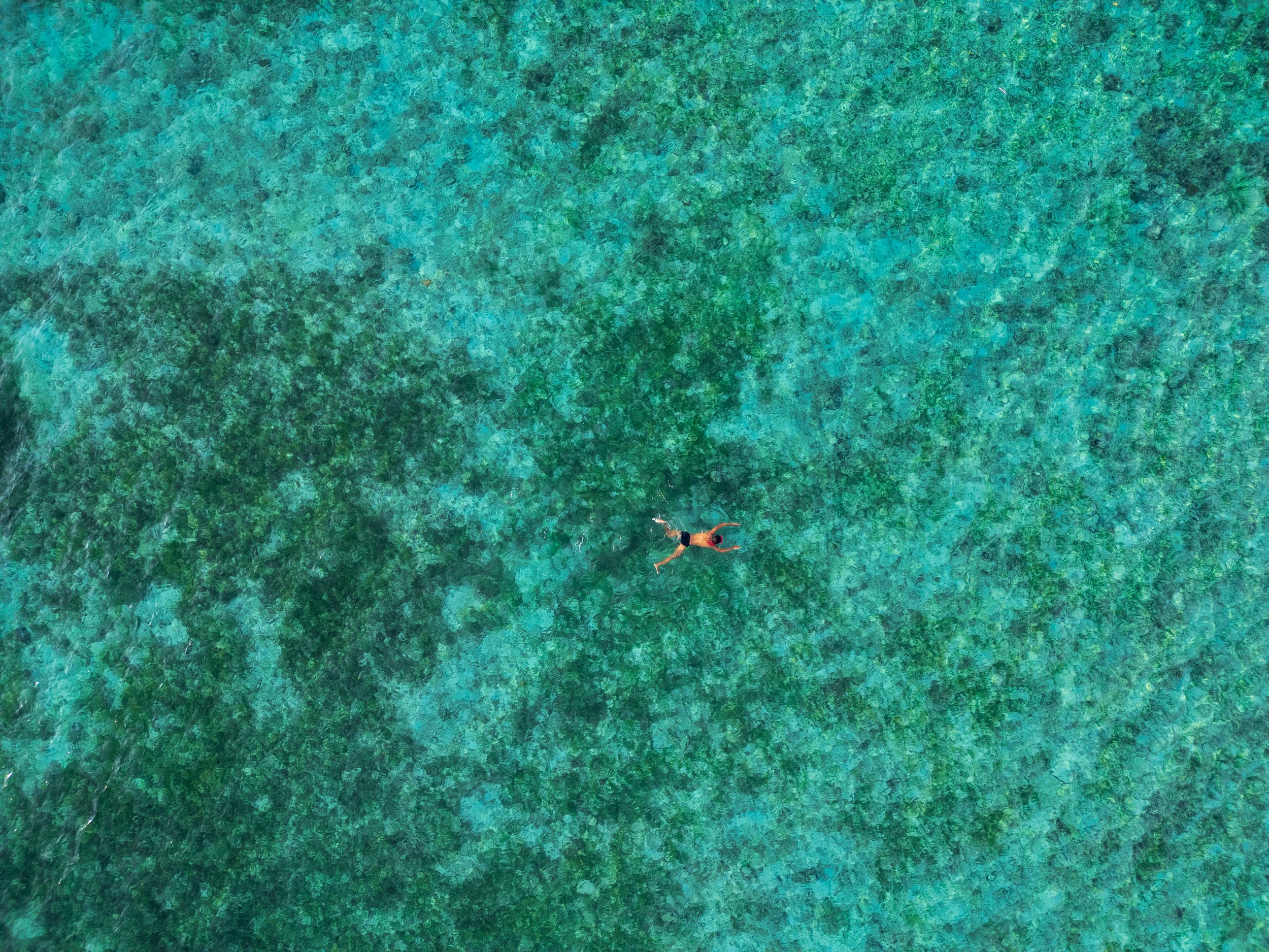 DJI_0890.jpg