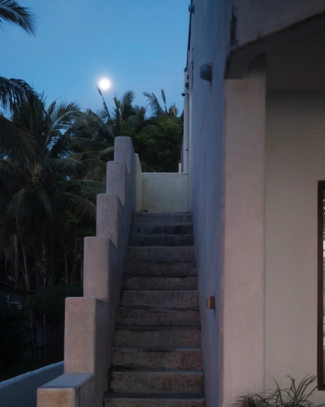 The moon from our home away from home ✨ captured by @narija.mada 

#moon #moonlight #giliair #lombok #bali #indonesia #ataywithus #fy #fyp