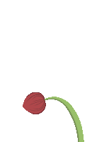 Sunnyside illustration of a red rose