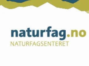 Undervisningsopplegg