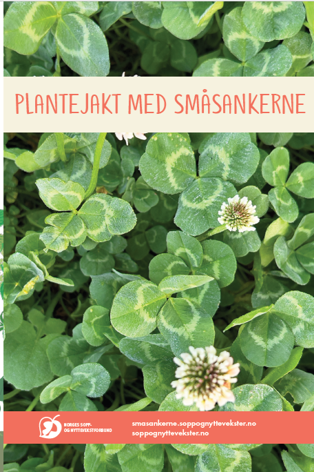 Småsankerne-aktiviteter