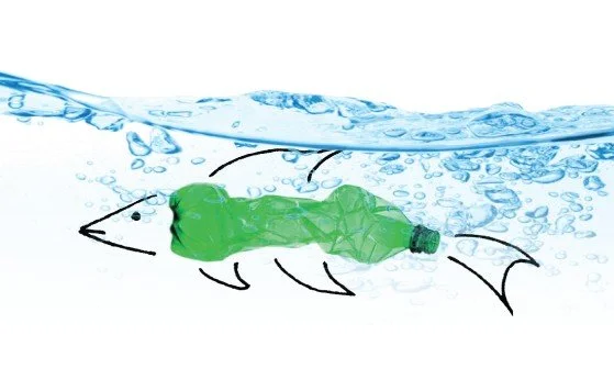 Marin forsøpling U.trinn