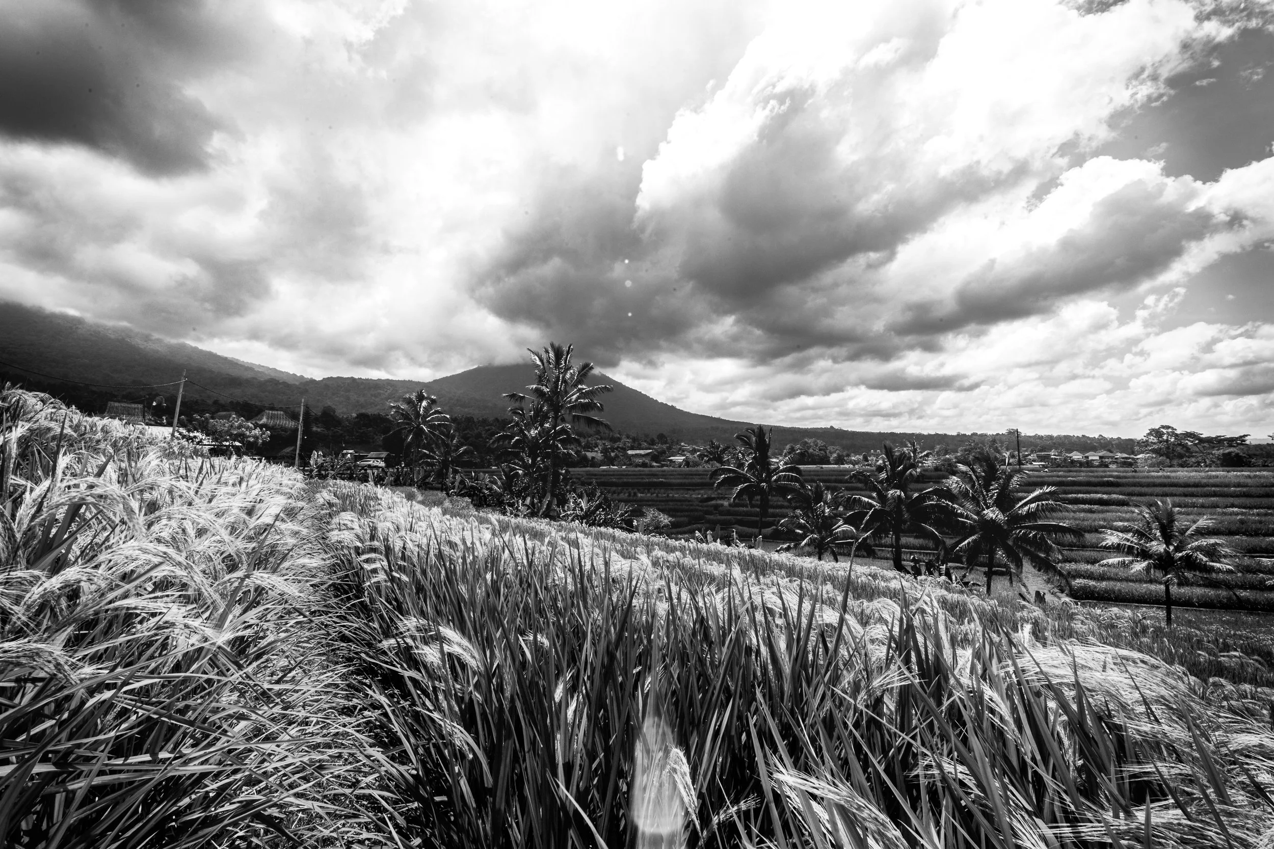 22_BaliSeries250426@KazVisuals.jpg